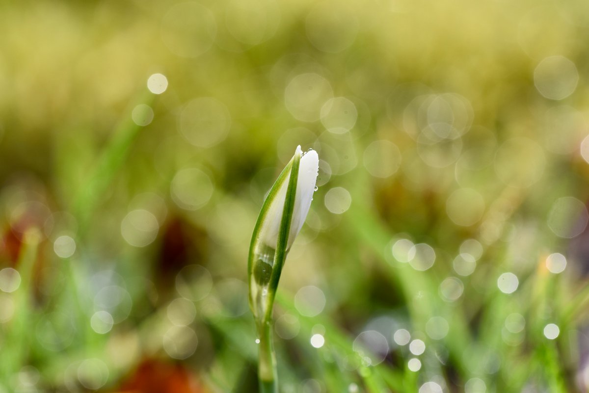 Miranda Moore ☀️ tweet media