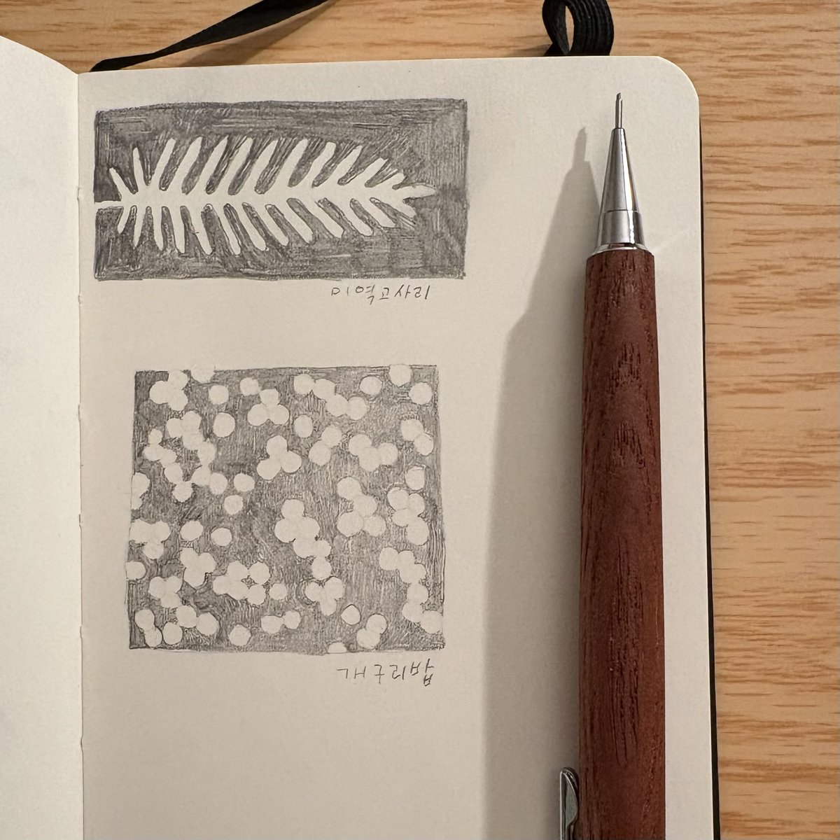 오와영 tweet media