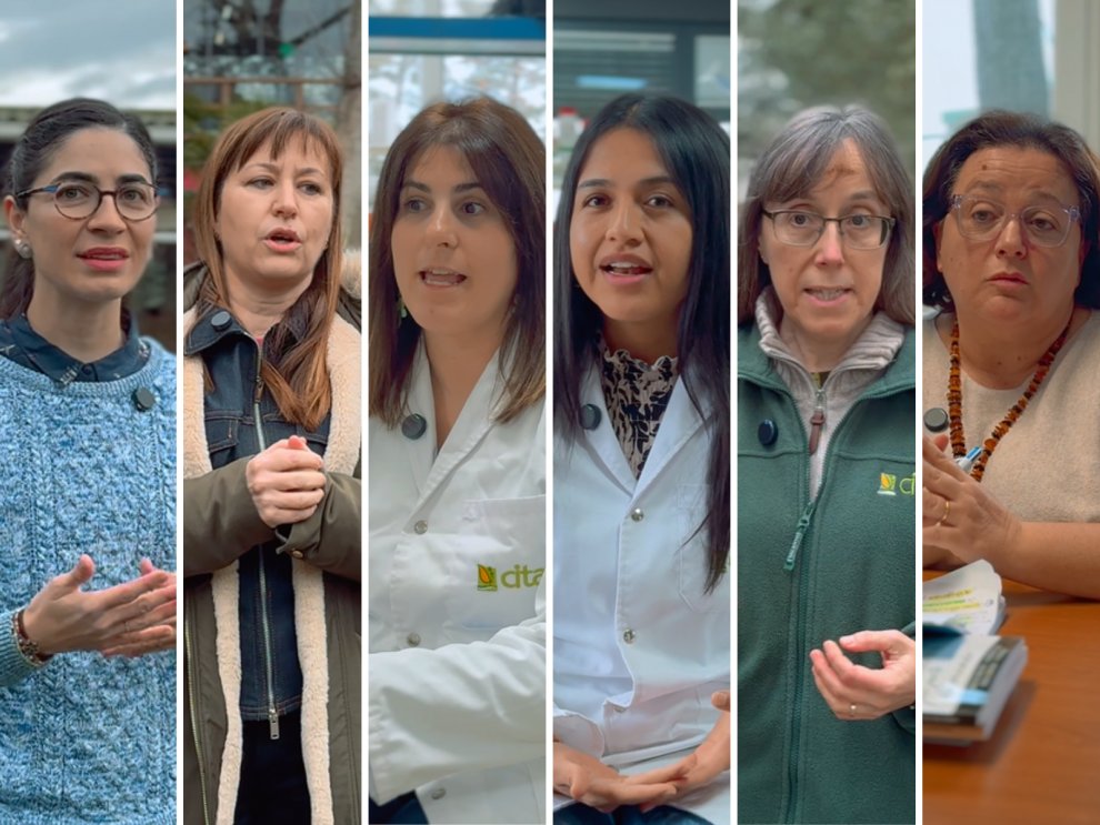 GobAragon's tweet photo. 👩‍🔬 El CITA se suma al Día Internacional de la Mujer y la Niña en la Ciencia a través de los ojos de seis científicas.

💪 Una iniciativa que pone en valor el papel de las mujeres en la investigación agroalimentaria y su impacto en la sociedad.

🖇️ https://t.co/5fUpFaEX5F https://t.co/scjnMtIelY