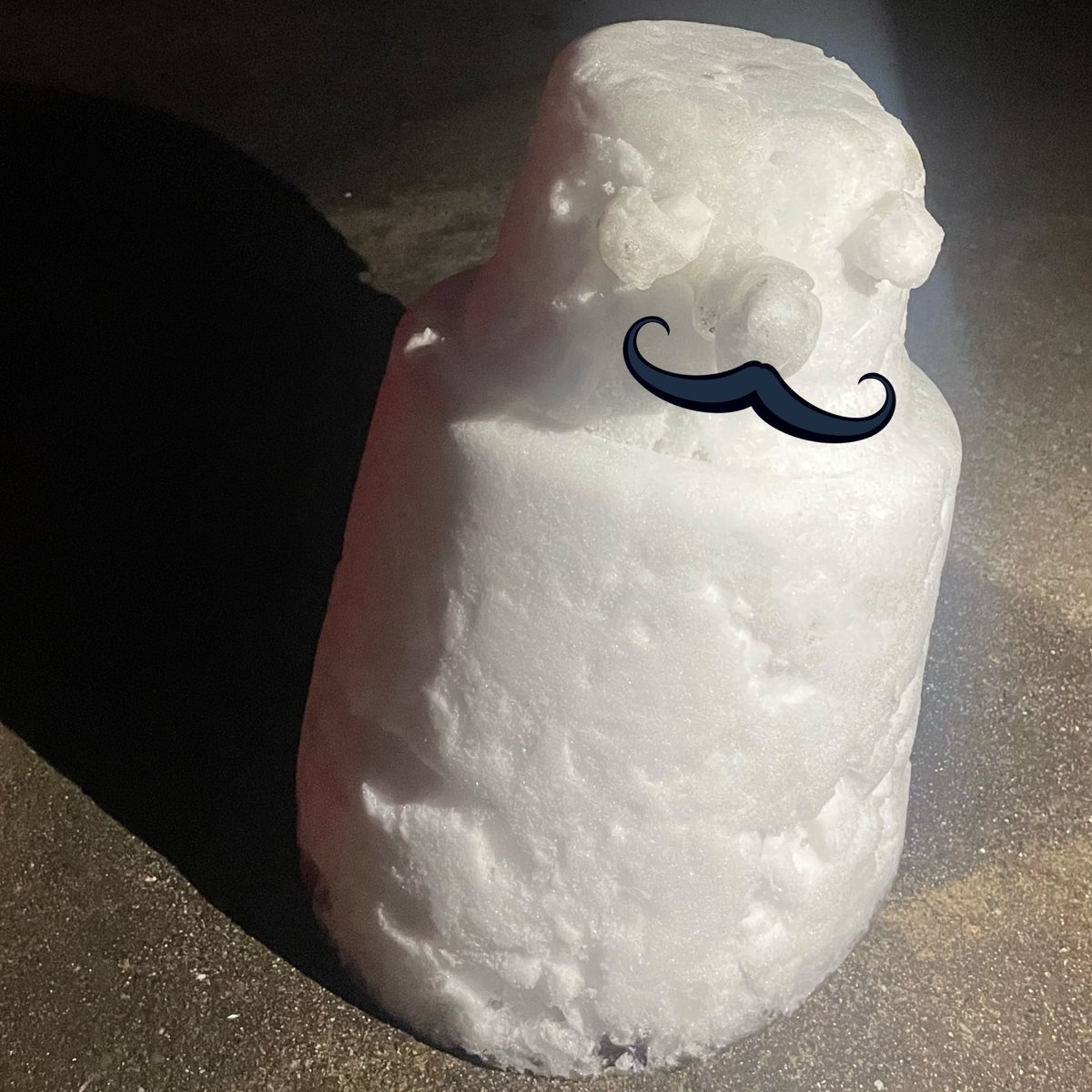 donpy_rin's tweet photo. 出勤しました〜✨
毎日寒いけど楽しくいきましょ〜⛄️
この前弟と作った雪だるま! https://t.co/oGf2lacNVb