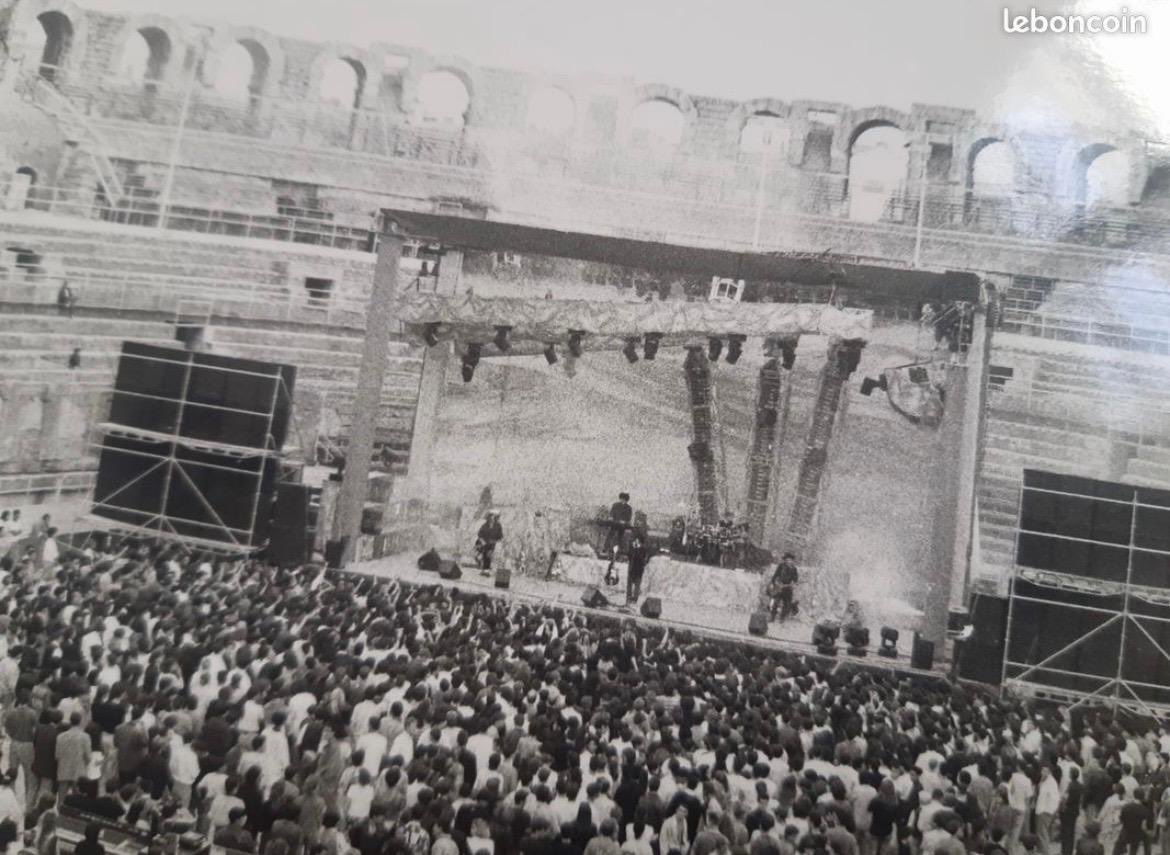 HoneyBuzzingBee tweet media