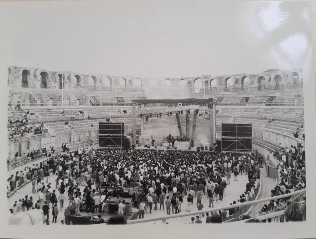 HoneyBuzzingBee tweet media