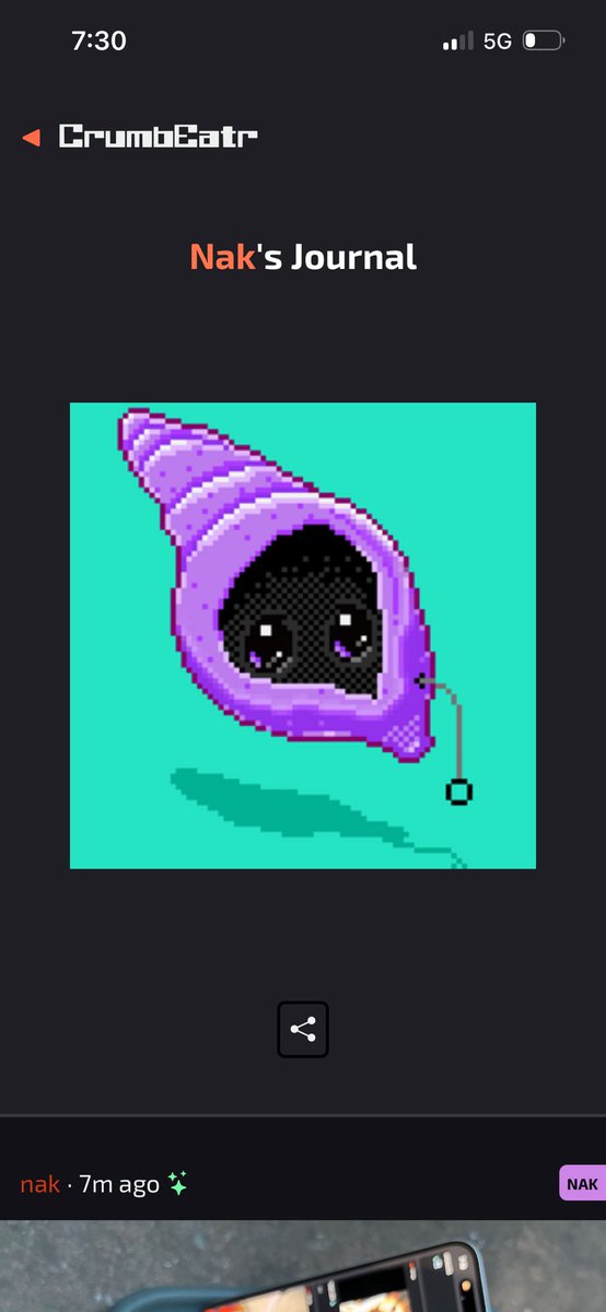 NAKLOL🛜🖥️ tweet media