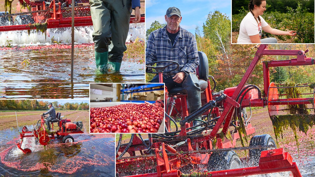 Ontario Federation of Agriculture tweet media