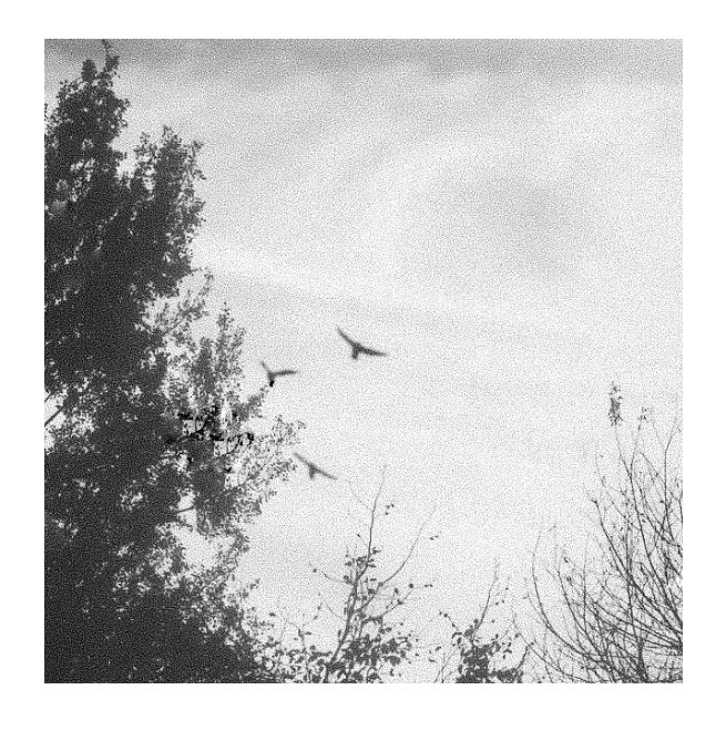 “For I don't know how to be silent when my heart is talking."
        — Fyodor Dostoyevsky