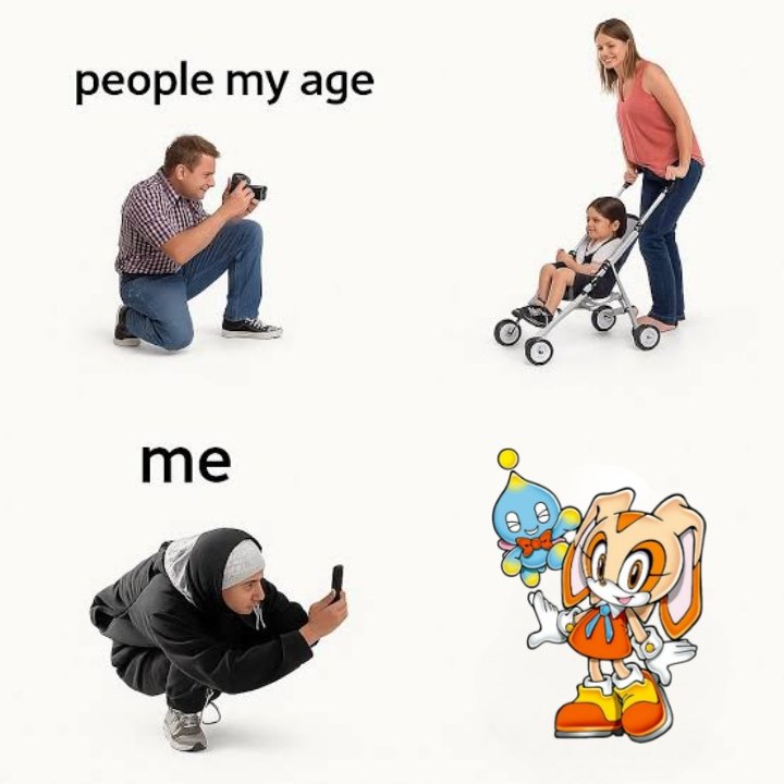 #1 Cream The Rabbit & Cheese The Chao Fan tweet media