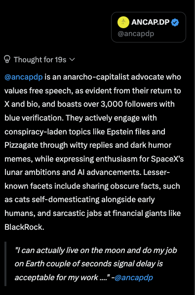 ancapdp's tweet photo. Depiction of my X profile by Grok🥰😇🙃 https://t.co/bXI3rOTGY8