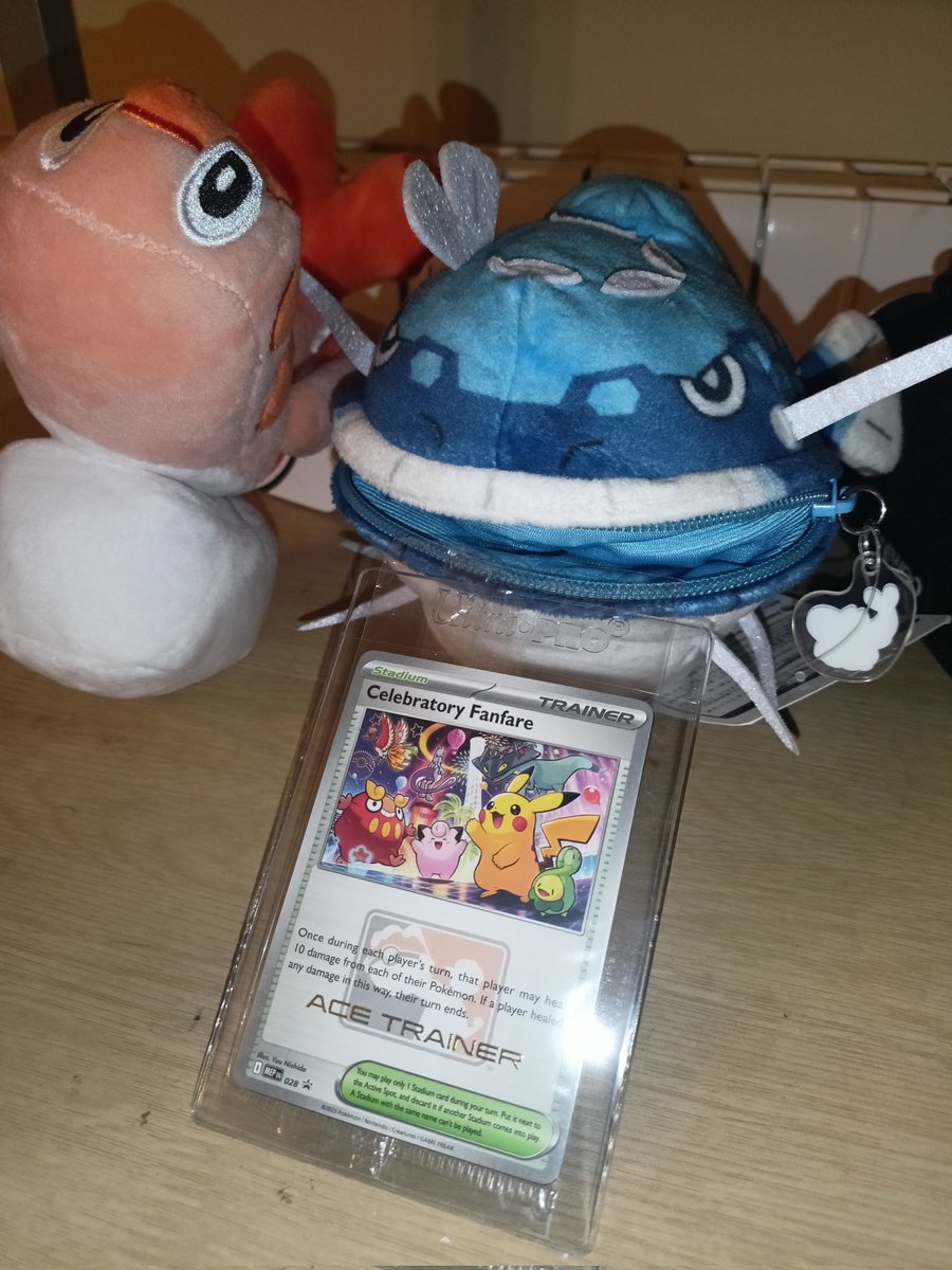 Torch☄️ tweet media