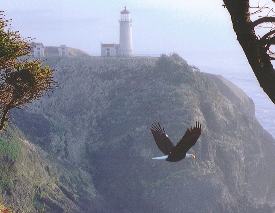 Michael19196858's tweet image. Eagle!

Wordle 1,697 2/6 #TEMWC 

🟩⬜⬜🟨🟩
🟩🟩🟩🟩🟩