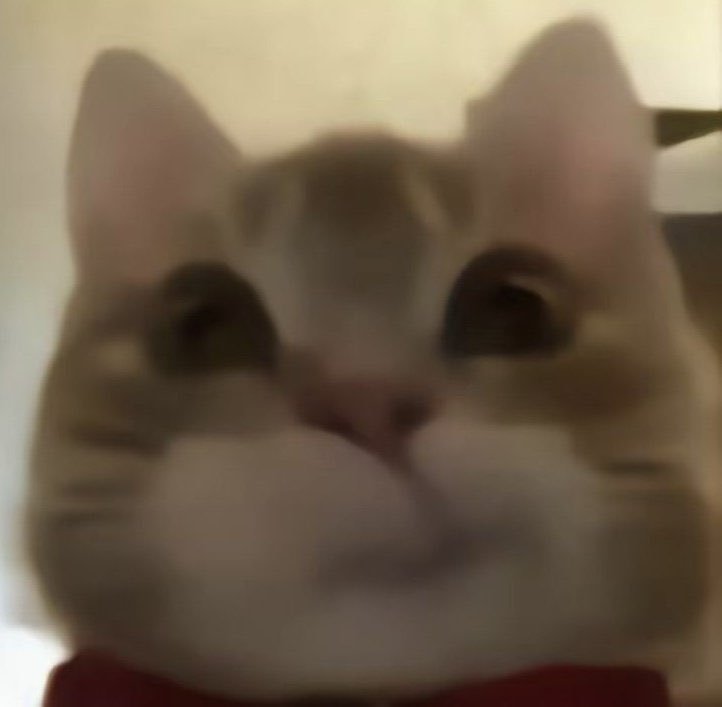 babiimondsoqt's tweet image. 