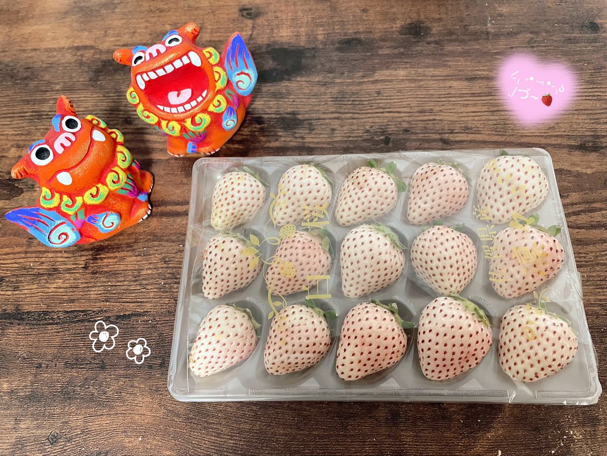 C-due🪔ちか✩⡱ tweet media