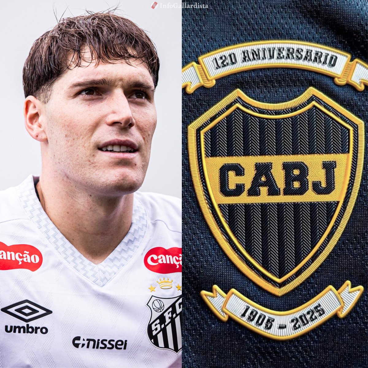 Info Gallardista tweet media