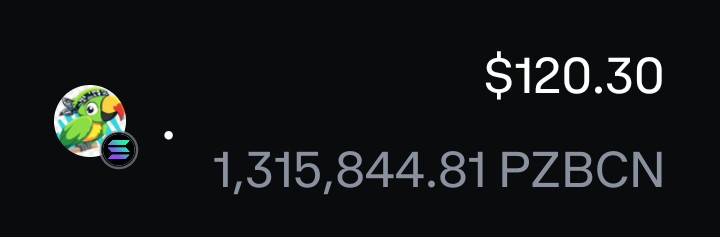 CKJCryptonews's tweet image. OMG open my #Coinbase Account what do I see that #Million $Pzbcn for $10 is now worth $120
