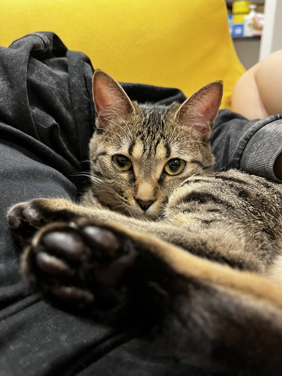 何見てんのよ！キック！