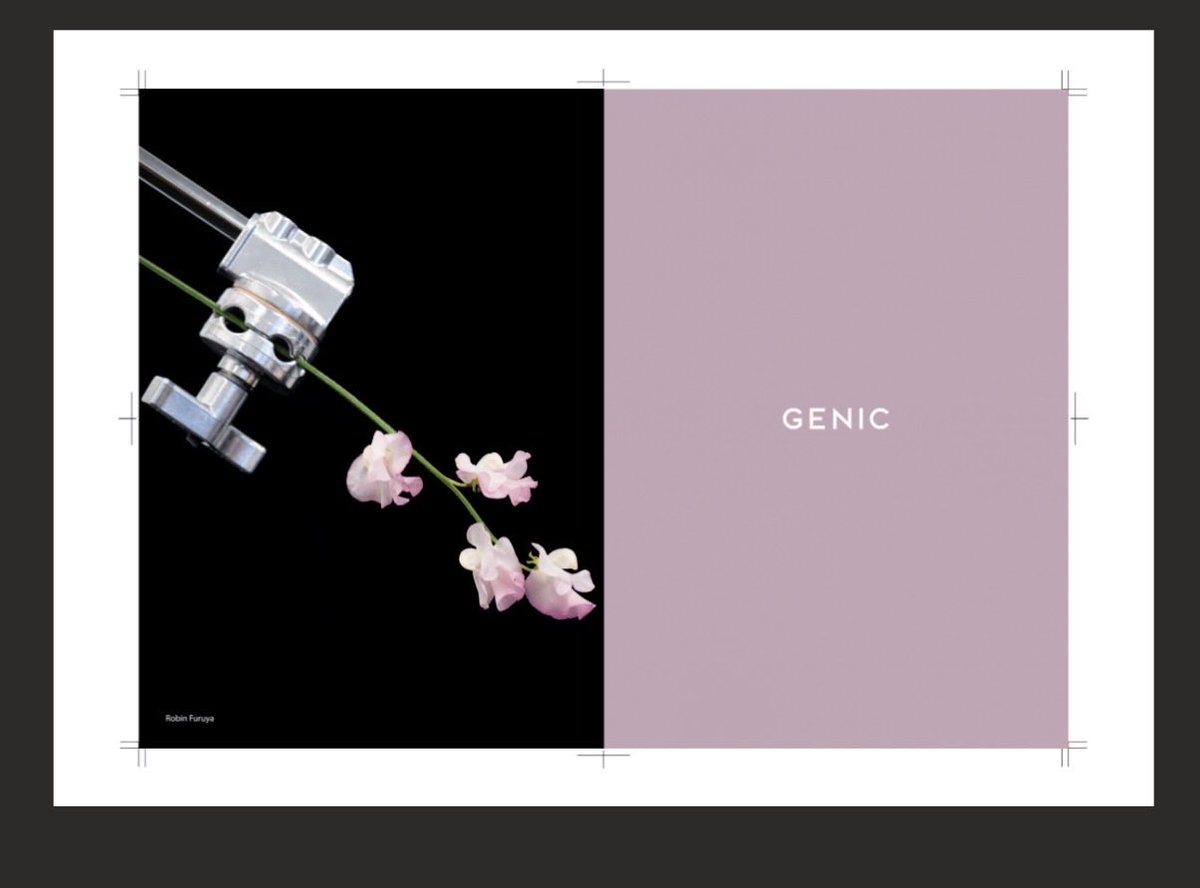 CP+2026 at パシフィコ横浜 GENICのブースにて 限定クリアファイルを