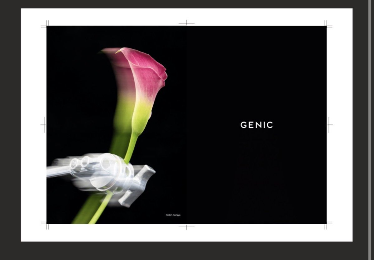 CP+2026 at パシフィコ横浜 GENICのブースにて 限定クリアファイルを