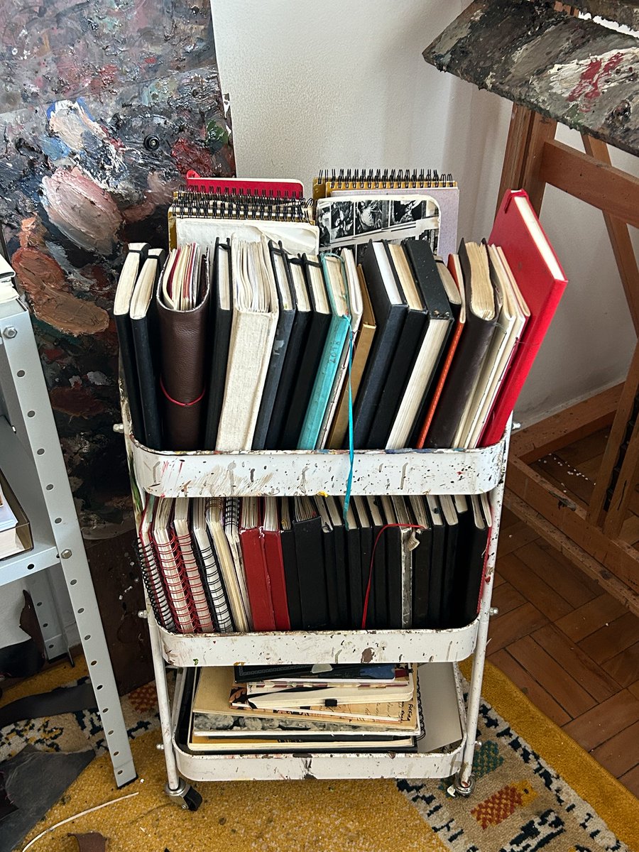 catarina camargo tweet media