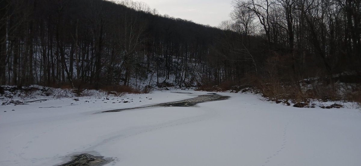 CircutVanta tweet media