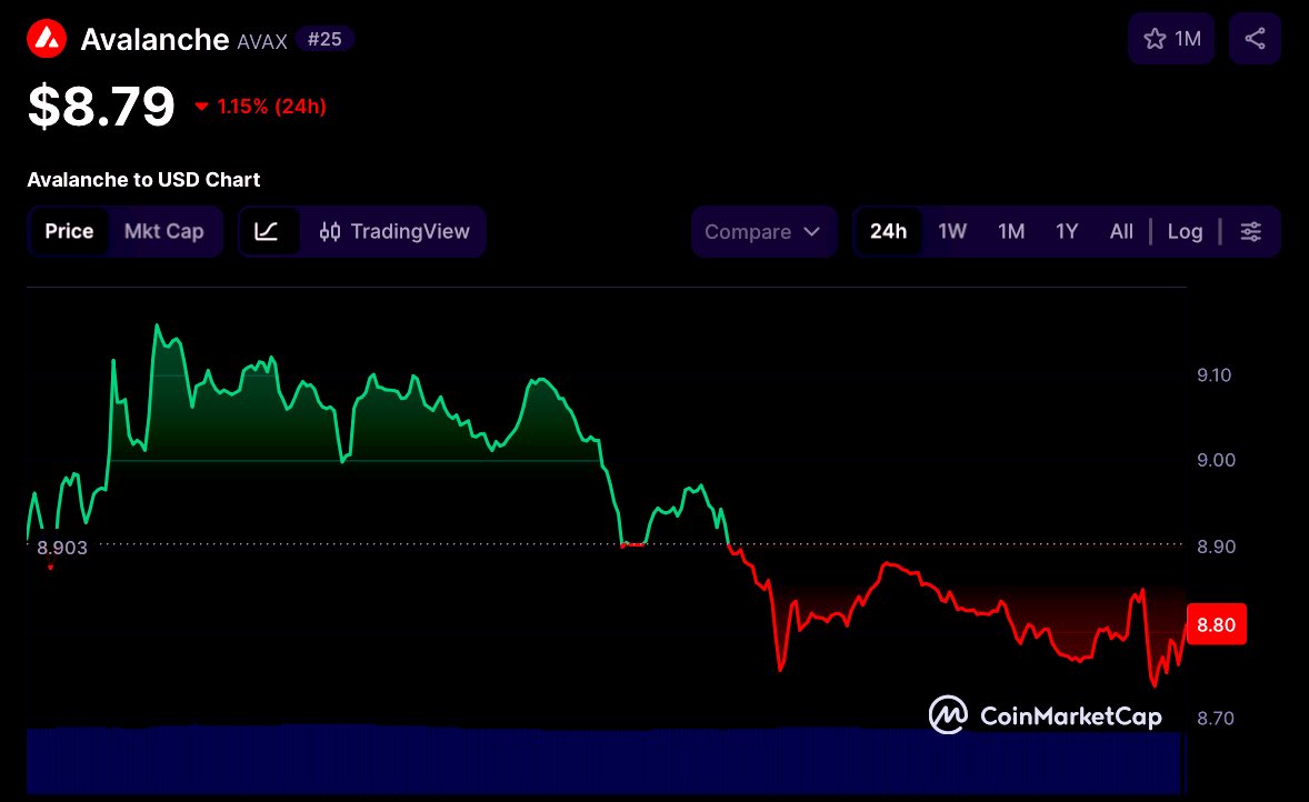 Lina 🌊🐳 tweet media