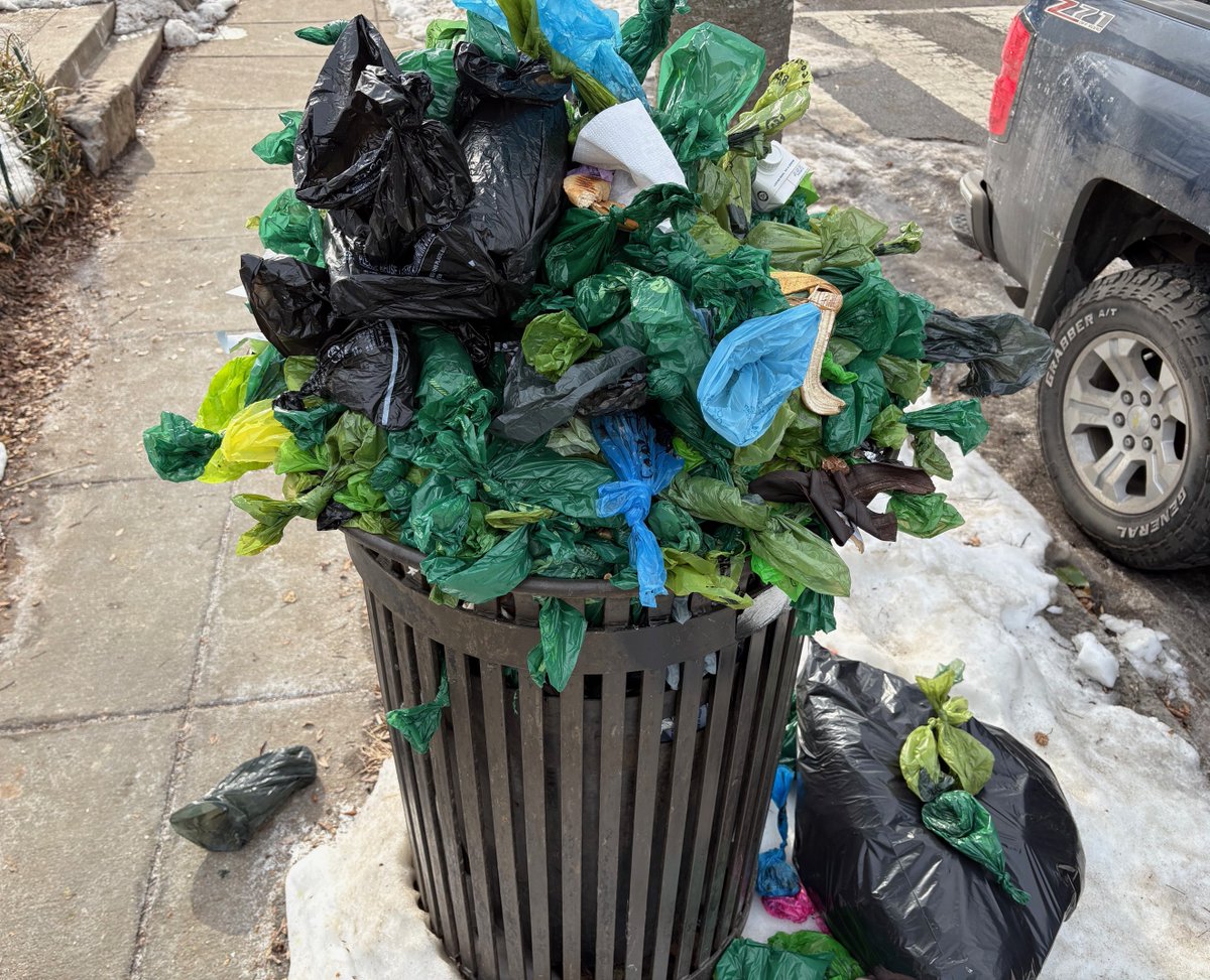 Sam Alcorn tweet media