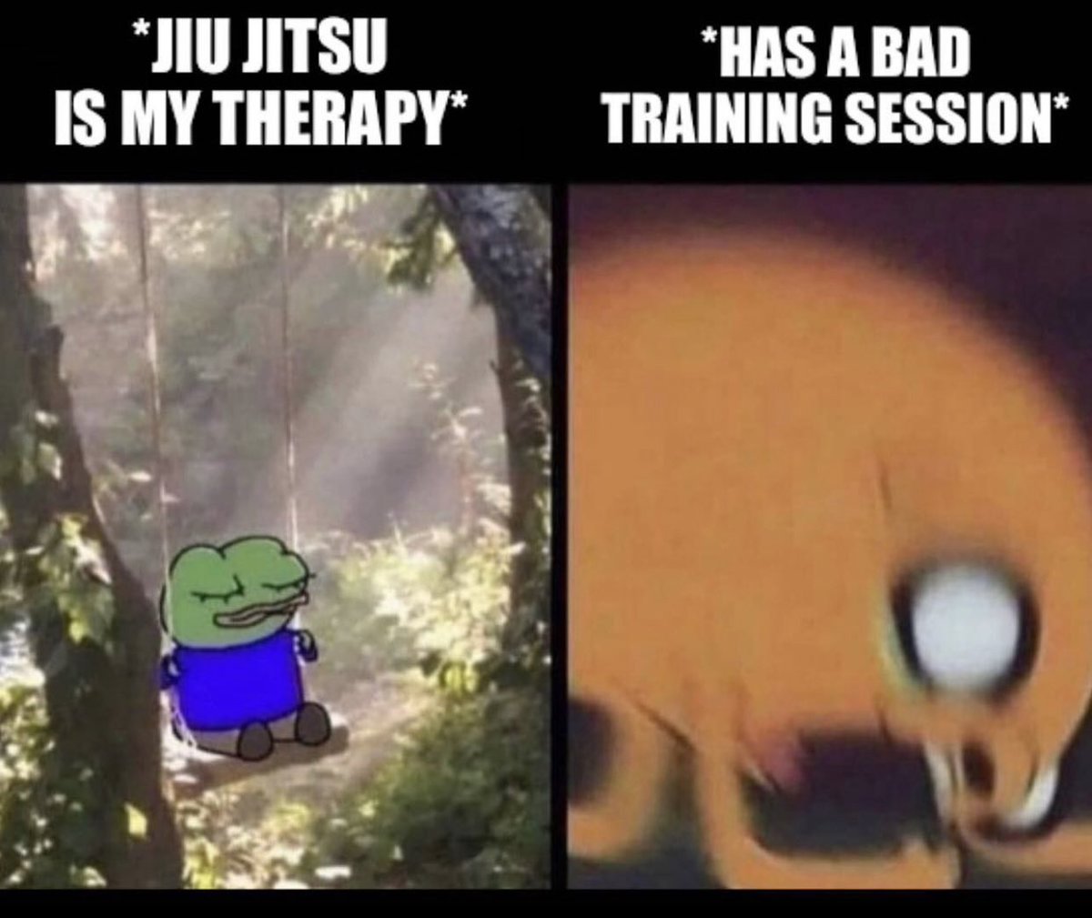 JiujitsuOtter's tweet image. 