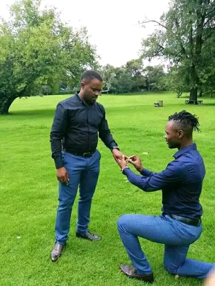 African Hub tweet media