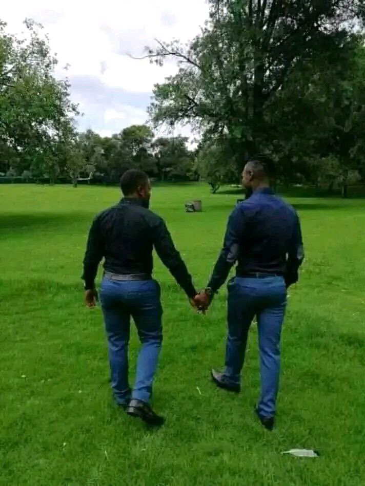 African Hub tweet media