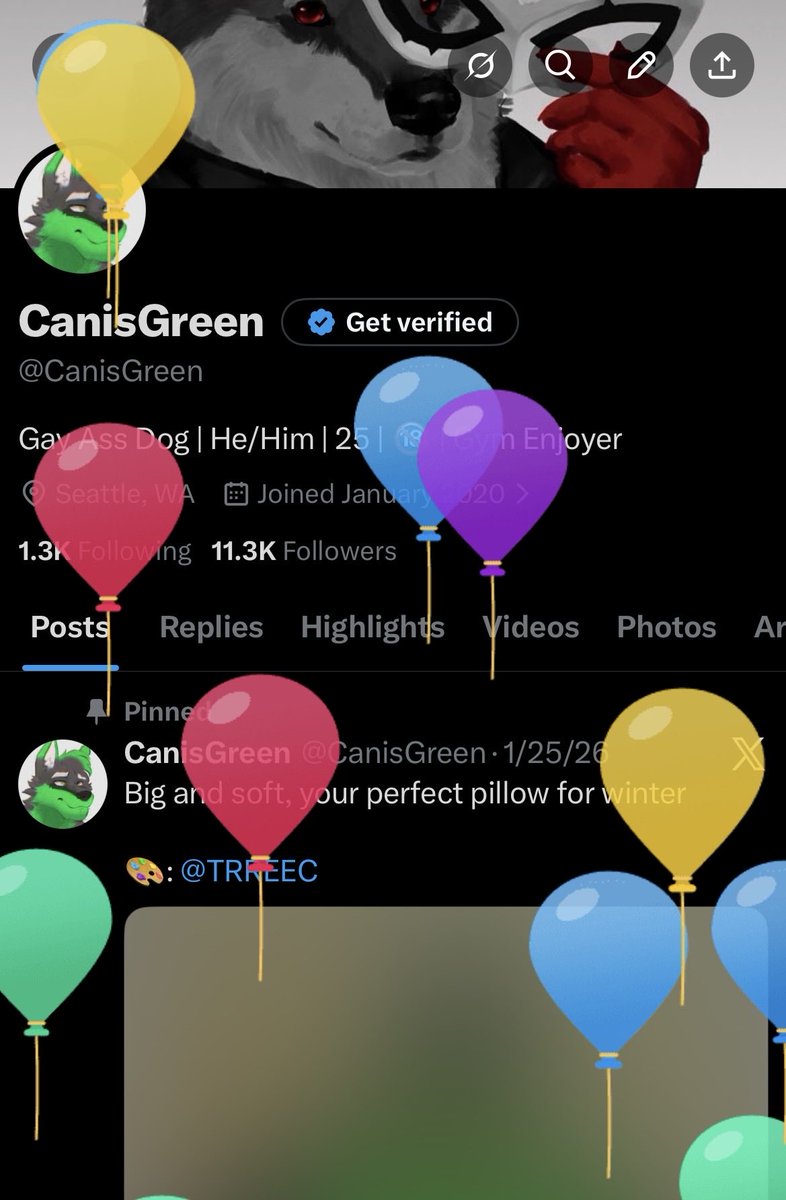 CanisGreen 🔜 AC tweet media