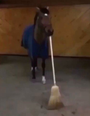 evildanevil's tweet image. How it feels to start a new job