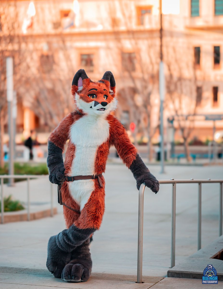 9 years of growth taking photos. Wow,  9 years since I took my camera to my first fur event.

SoCal Picnic ’17
FC ’18
Last two FC ’26