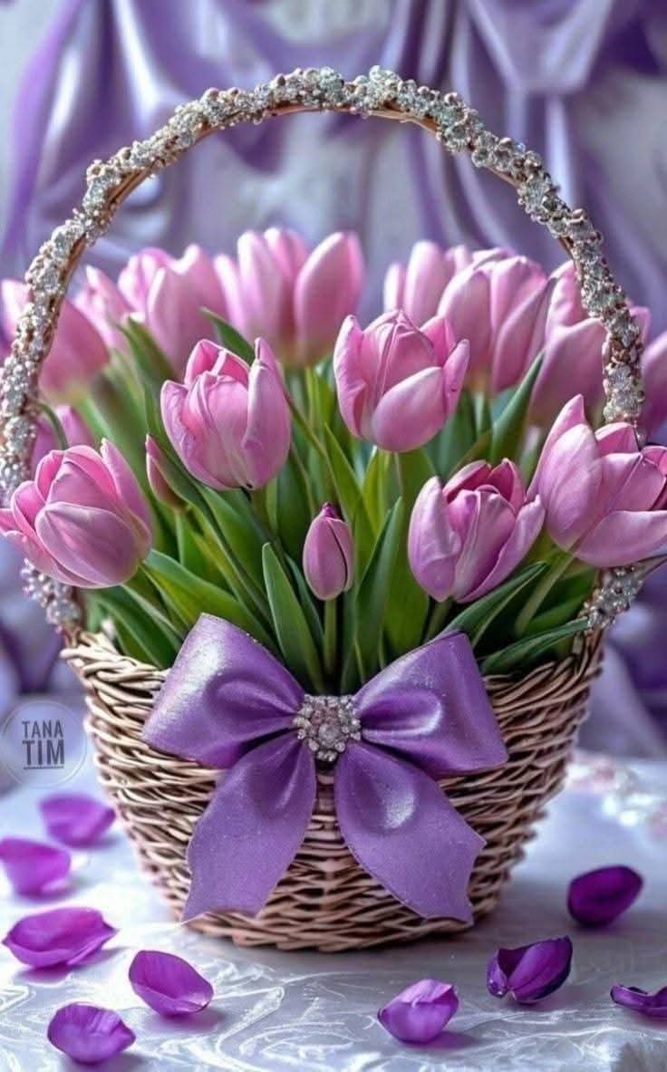 cigdemsecen76's tweet photo. @48Turkiyem Nice mutlu yaslar dilerim https://t.co/GFOqGb69wq