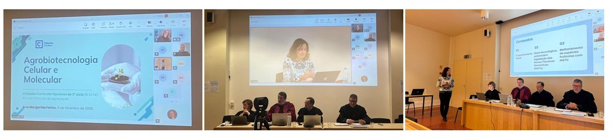 fruitfgb's tweet photo. 🥇We congratulate @FortesMargarida on successfully completing her Habilitation in Biology (Molecular and Cellular Biology) at @cienciasulisboa. She presented the seminar “New #Genomic Techniques in Improving the Resilience of #Fruit Species to #Climate Change.”
@BioISI @ULisboa_ https://t.co/bi89znqd1p