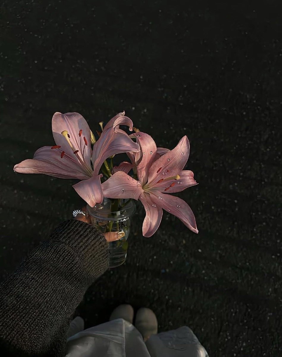 2025 (@2025pics) on Twitter photo 