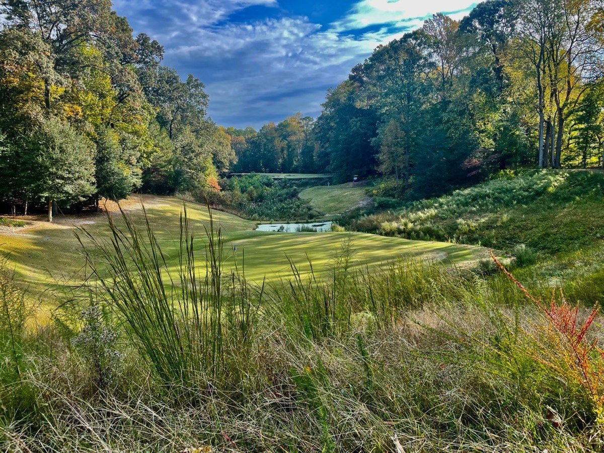 Tee Times USA tweet media