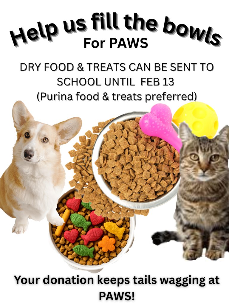 The 6th grade class is working on a service project - please help them fill the bowls at PAWS!