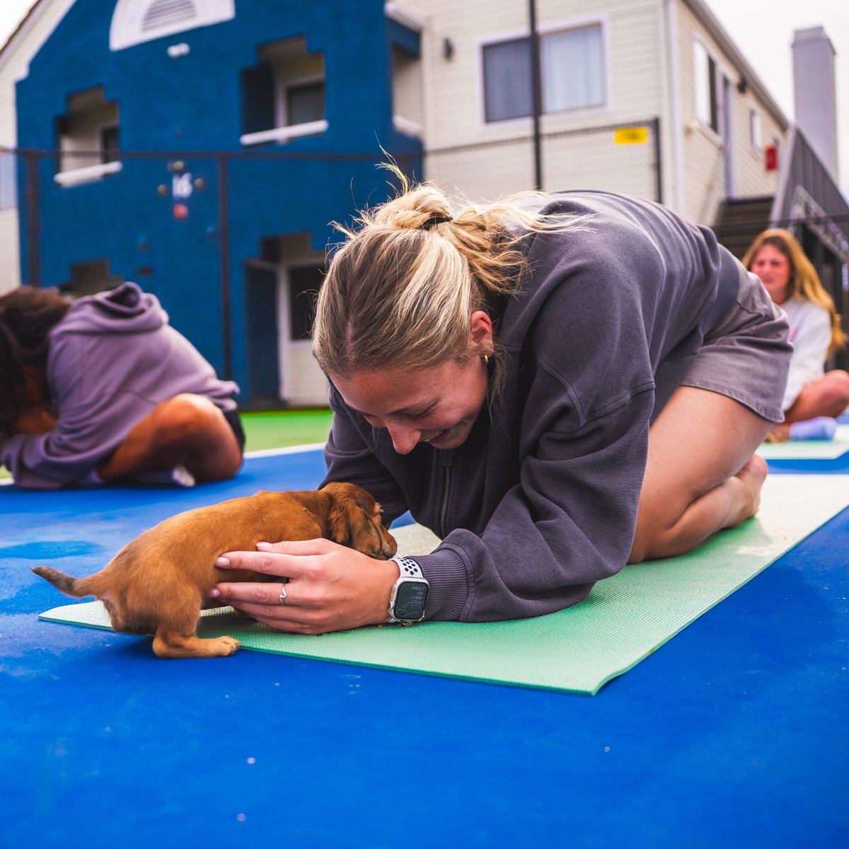 Kansas City Current II tweet media