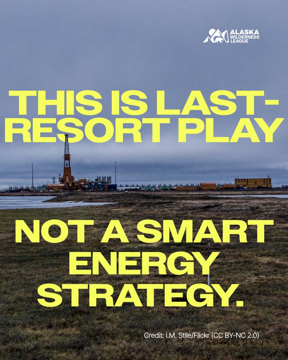 Big Oil is desperate, and the Arctic is their target. This isn’t strategy, it’s a last-resort gamble with wildlife, communities, and taxpayers on the line.

🔗Add your name now to tell Big Oil: stay out of the Arctic. secure.alaskawild.org/a/cp26_act_npra