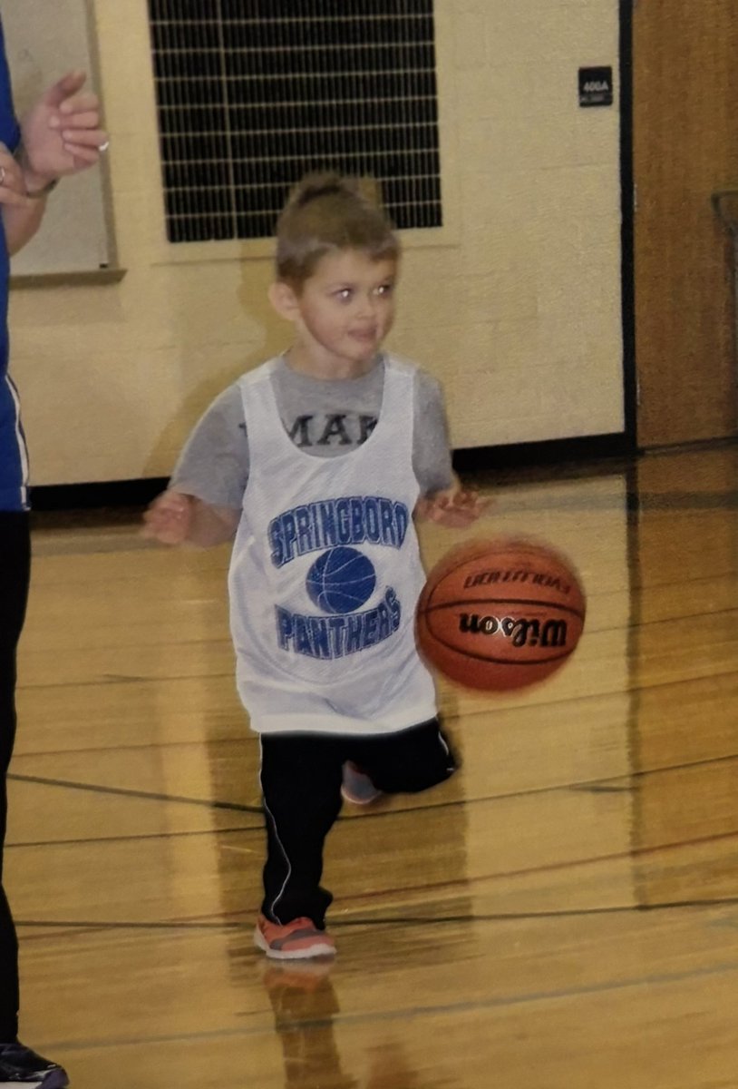 Springboro Men’s Basketball tweet media