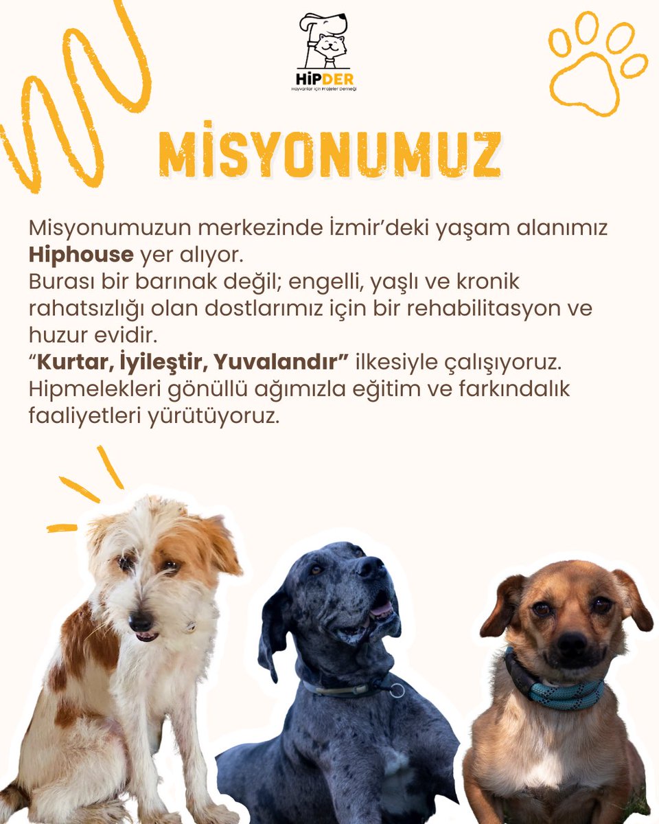 hipder tweet media