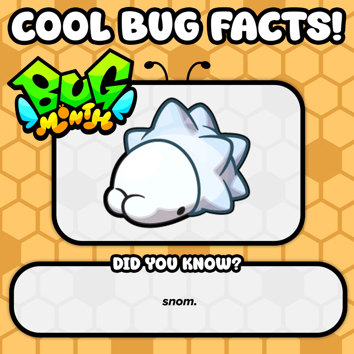 Cool Bug Fact: snom.