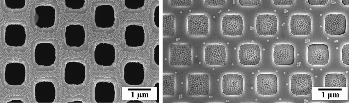 Florian Schulz tweet media