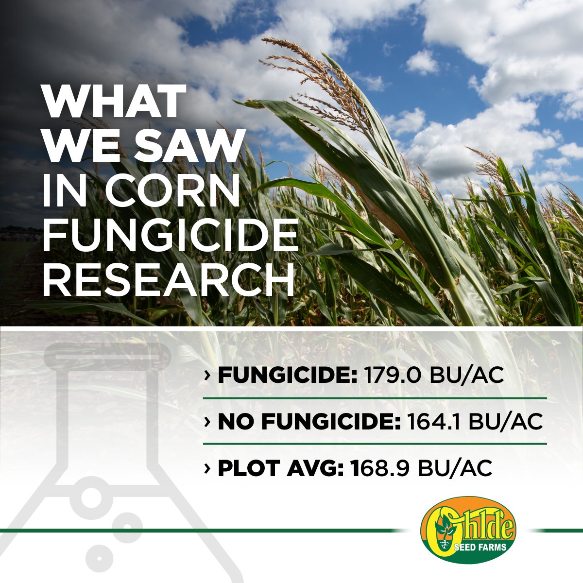 Ohlde Seed tweet media