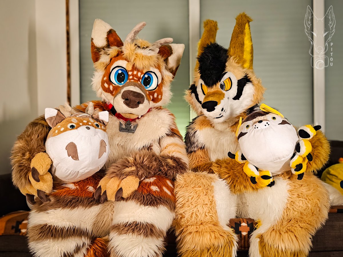 Pitou Rikou tweet media