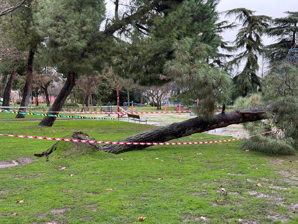 Aroa Díaz🐾 tweet media