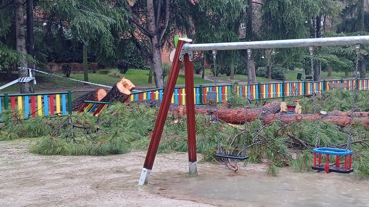 Aroa Díaz🐾 tweet media