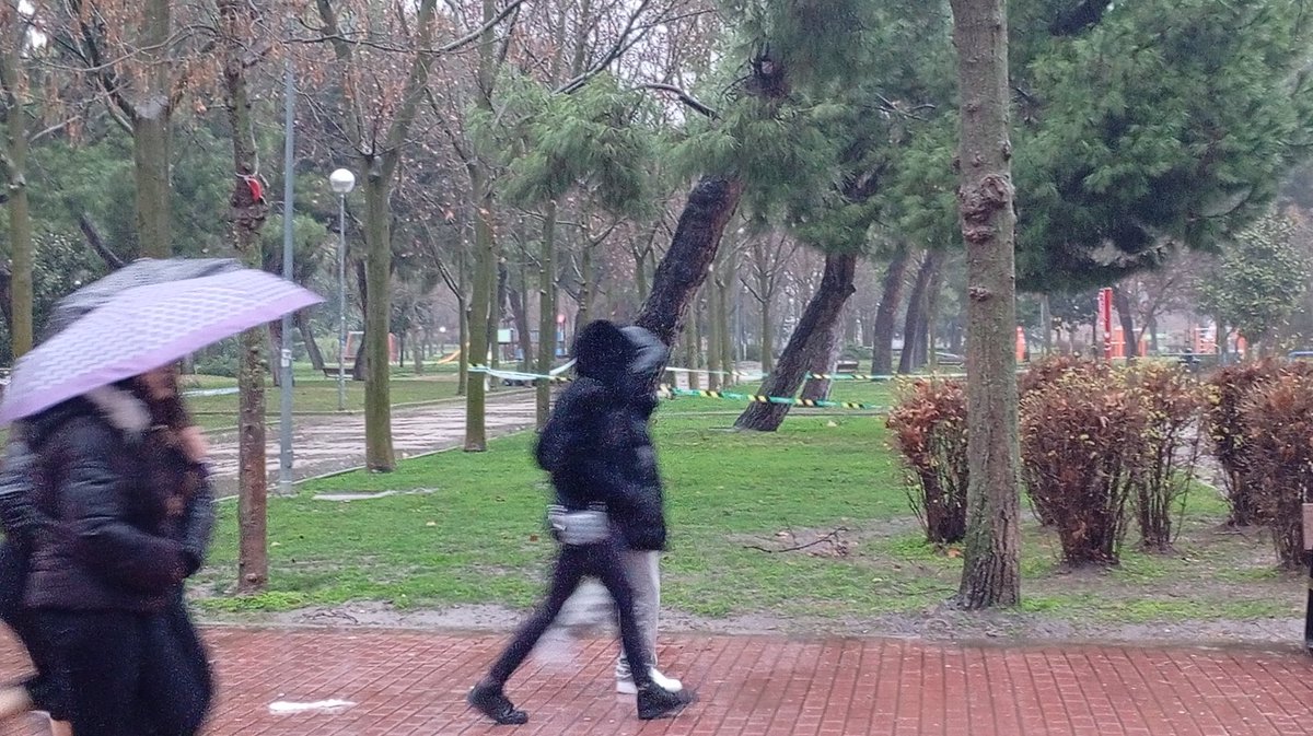 Aroa Díaz🐾 tweet media