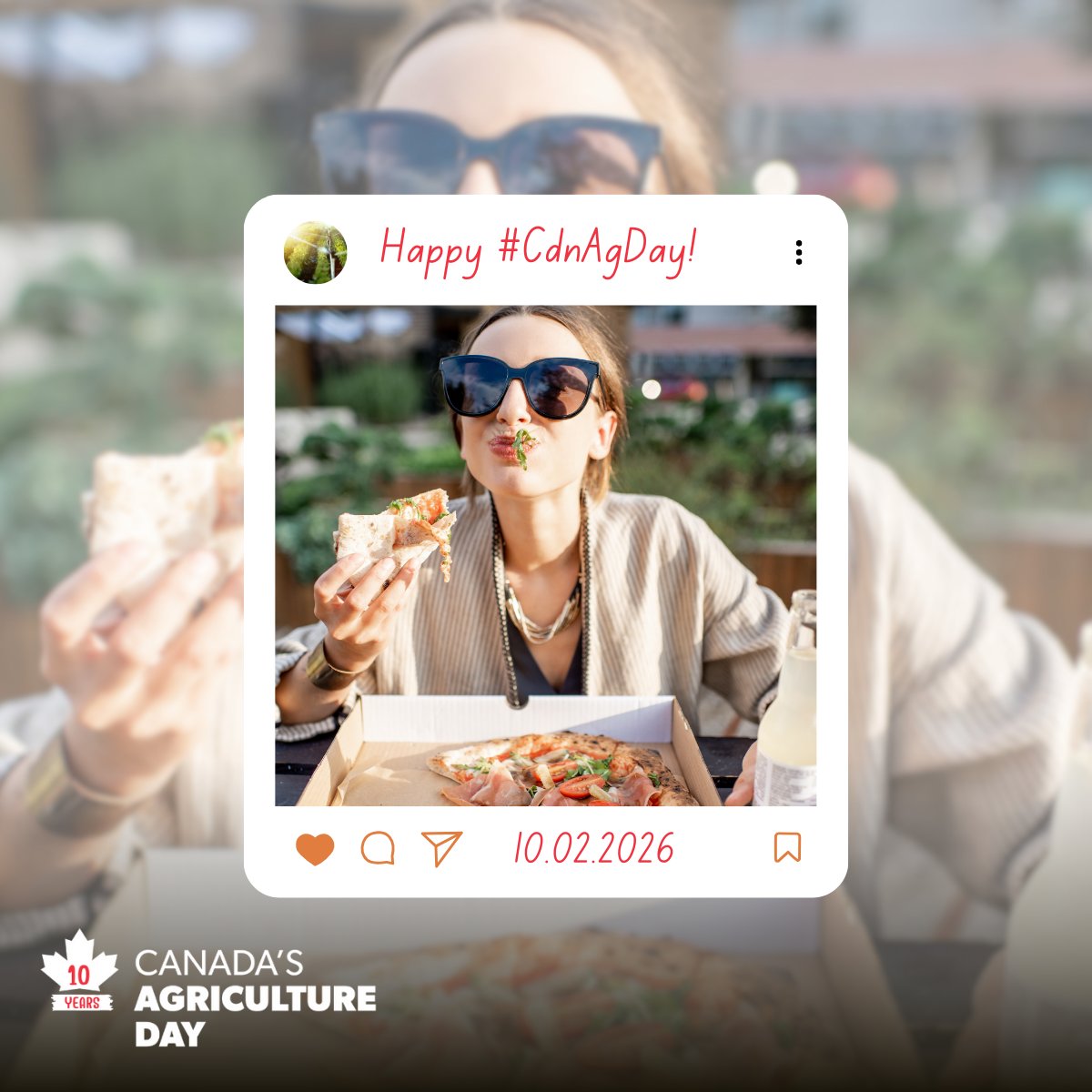 Get Cracking tweet media