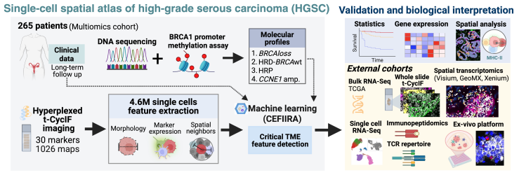Elizabeth McKenna tweet media