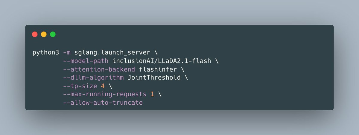 SGLang launch command
