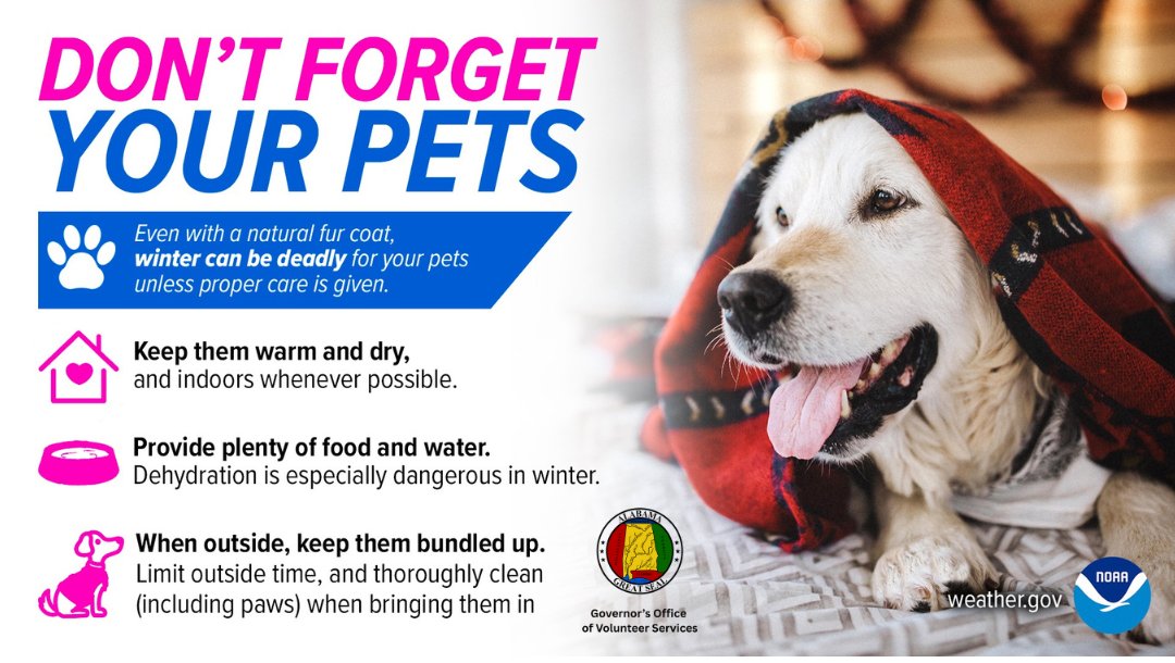 Ready Alabama tweet media